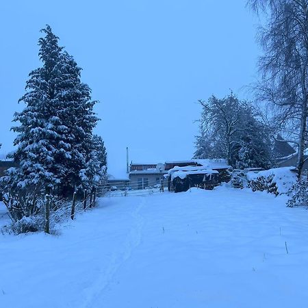 Ferienwohnung Classen Eifel ชไลเดิน ภายนอก รูปภาพ