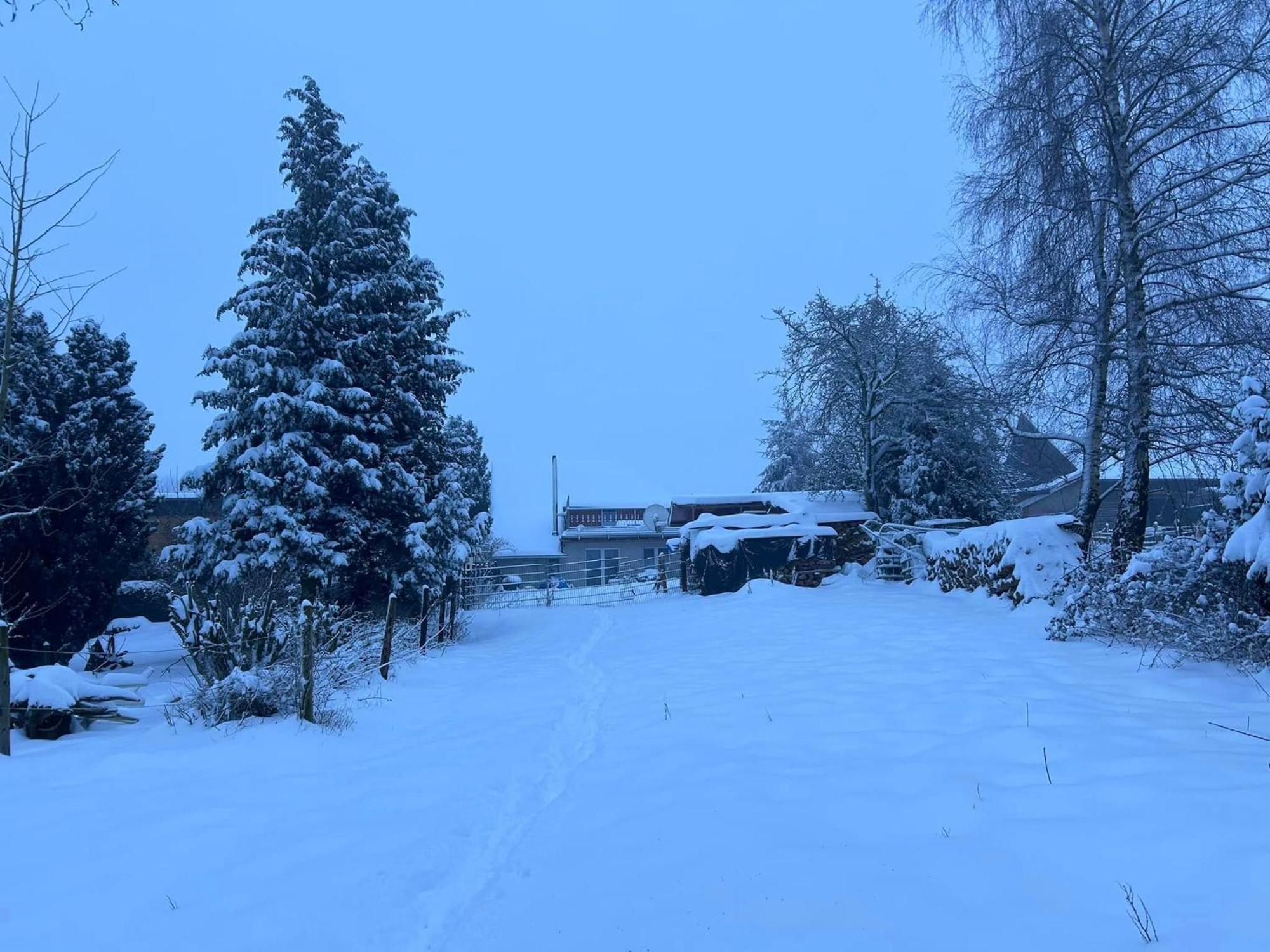 Ferienwohnung Classen Eifel ชไลเดิน ภายนอก รูปภาพ